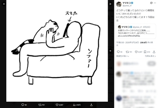 猫を両手でもふもふする主観動画、どうやって撮ってるの？そこには飼い主の涙ぐましい執念があった