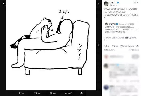 猫を両手でもふもふする主観動画、どうやって撮ってるの？そこには飼い主の涙ぐましい執念があった