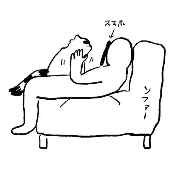 「猫を両手でもふもふする主観動画、どうやって撮ってるの？そこには飼い主の涙ぐましい執念があった」の画像