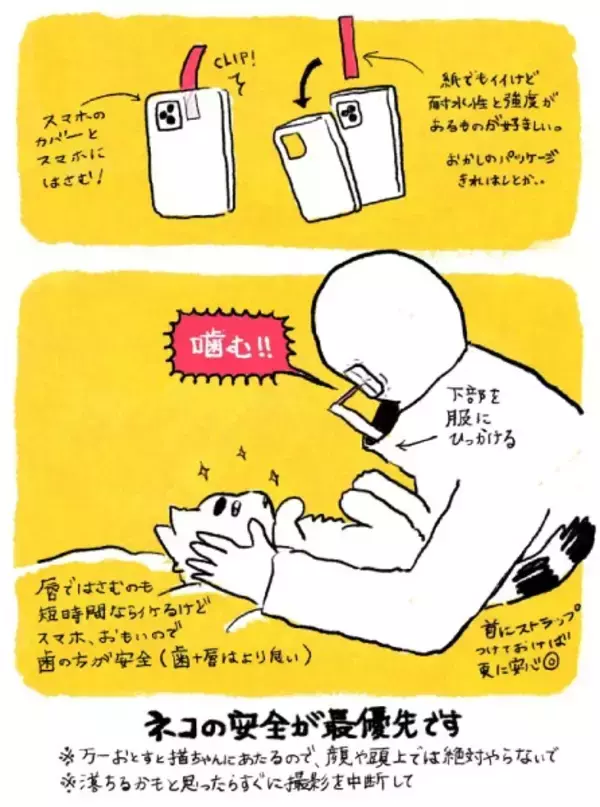 「猫を両手でもふもふする主観動画、どうやって撮ってるの？そこには飼い主の涙ぐましい執念があった」の画像