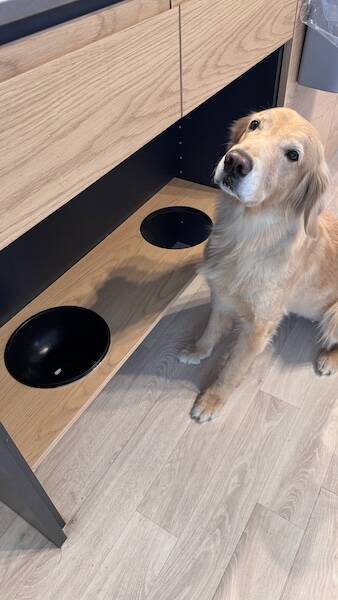 たった1つのお薬見抜く名探偵犬！ 飼い主さんをあえて泳がせる策士っぷりも？