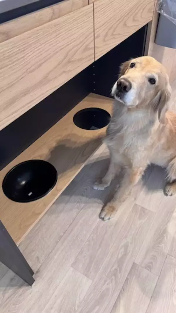 「たった1つのお薬見抜く名探偵犬！ 飼い主さんをあえて泳がせる策士っぷりも？」の画像