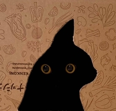 ピカソかな？段ボールから顔を覗かせる黒猫さんが名画すぎる