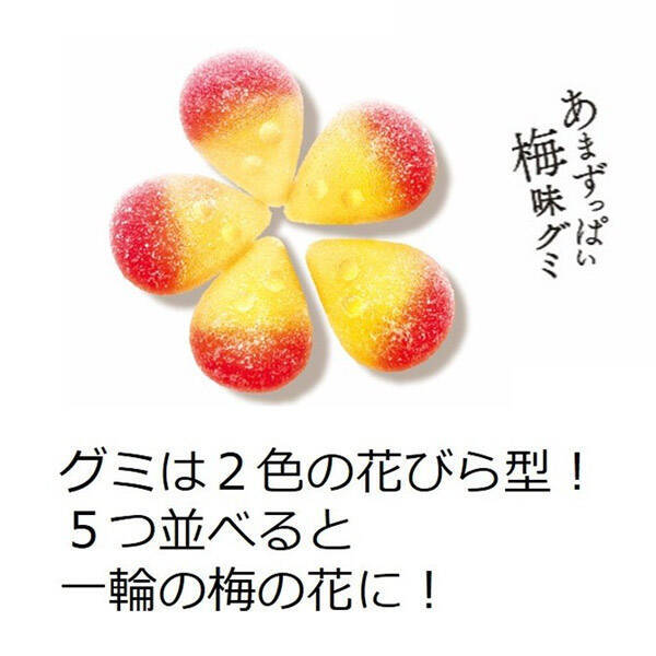 小梅ちゃんの恋心を表現、梅の花びら型「小梅グミ」が春一番に新登場