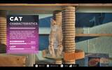 「「夢にまで見たゲーム」と海外で話題　猫視点シム「Cat Life Simulator」体験版を遊んでみた」の画像6