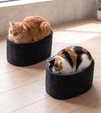 「愛猫がお寿司に？軍艦巻き風ベッドに反響　商品化にも期待」の画像1