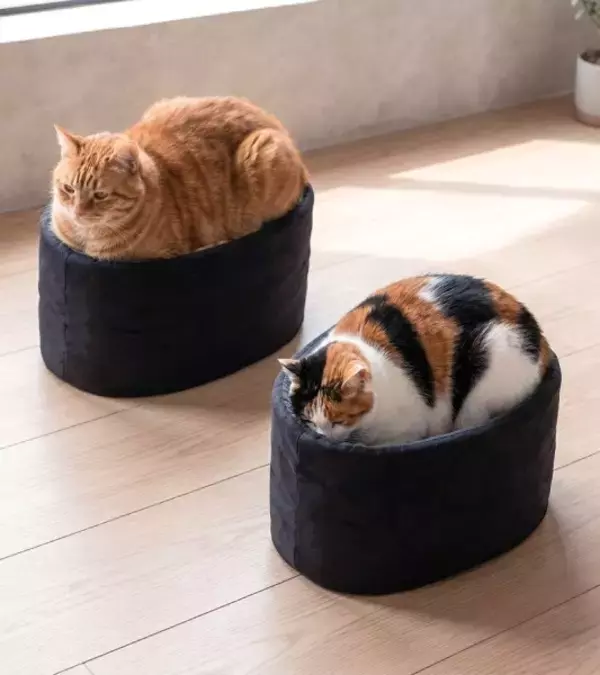愛猫がお寿司に？軍艦巻き風ベッドに反響　商品化にも期待