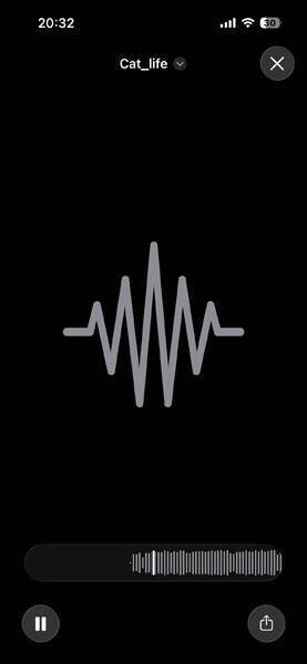 編集アプリ不要？iPhoneでBGM付き動画を撮ってみた