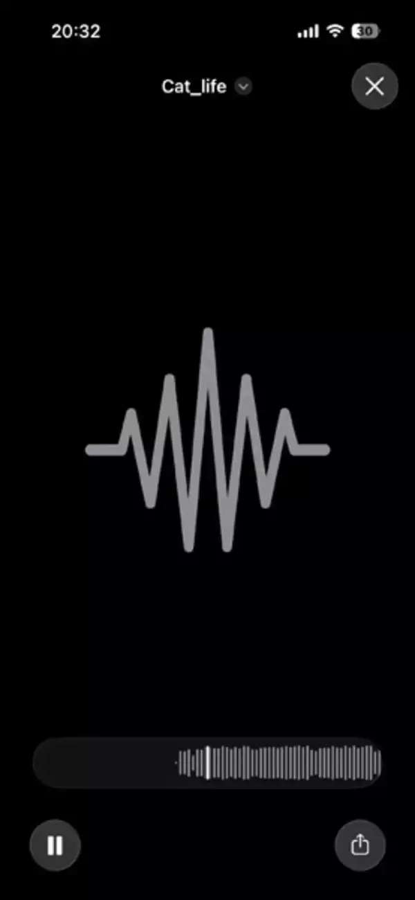 「編集アプリ不要？iPhoneでBGM付き動画を撮ってみた」の画像