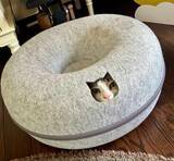 「まるで救出ミッション？ベッドの小窓から顔を覗かせる猫の「特殊部隊ごっこ」が緊迫感たっぷり」の画像1