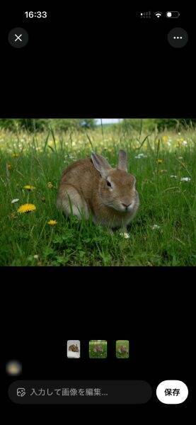 X、ついにアプリ内で「画像加工」が完結　モザイクもAI編集も対応、ただしステッカー機能はリストラ