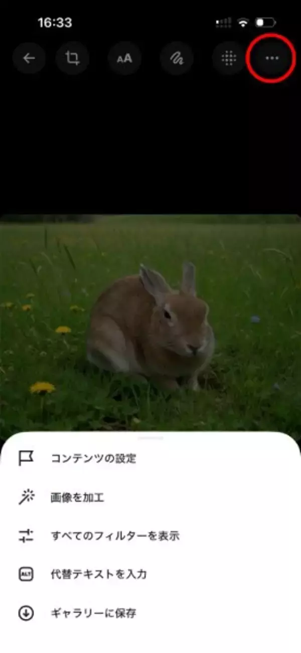 「X、ついにアプリ内で「画像加工」が完結　モザイクもAI編集も対応、ただしステッカー機能はリストラ」の画像