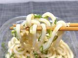「ネギでうどんが見えねえ……ドンキの“偏愛うどん”がやりすぎな件」の画像13