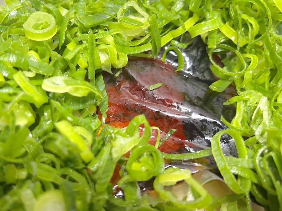 ネギでうどんが見えねえ……ドンキの“偏愛うどん”がやりすぎな件