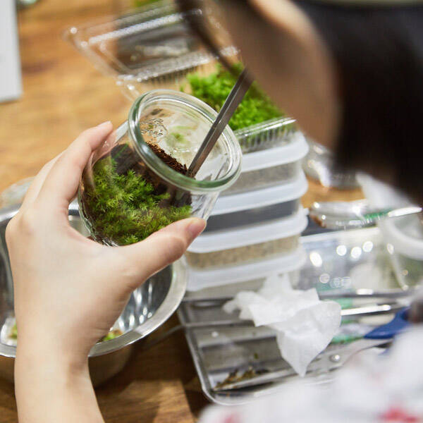 「ハンドメイドインジャパンフェス 2024」注目コンテンツ発表！国内外クリエイター作品とワークショップ集結