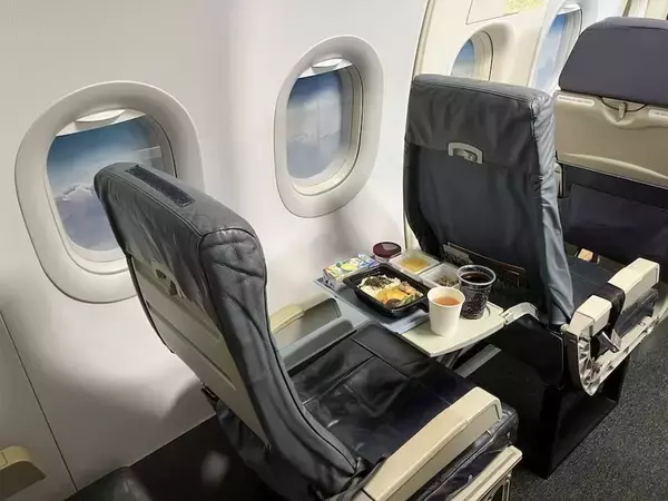 「自宅に“機内”を再現！「飛行機オタク」が作り上げた最高の趣味部屋」の画像