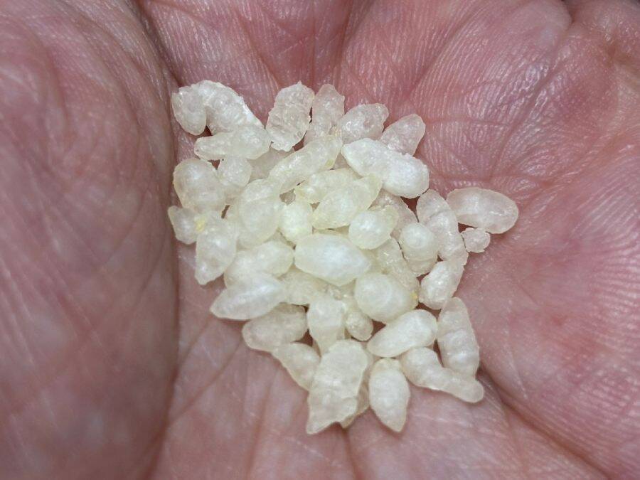 お湯だけでご飯ができるってマジ？　日清「ふっくら釜炊き ごはん」を半信半疑で試した結果