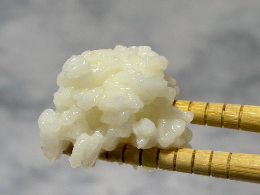 お湯だけでご飯ができるってマジ？　日清「ふっくら釜炊き ごはん」を半信半疑で試した結果