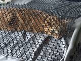 「トゲトゲシートはこうするにゃ！対猫用グッズを完全攻略してしまった猫」の画像1