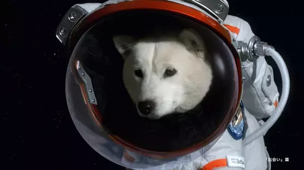 「「BOSS」宇宙人ジョーンズ新CMは過去作品を再編集　「宇宙人からのアドバイス」篇WEB先行公開」の画像