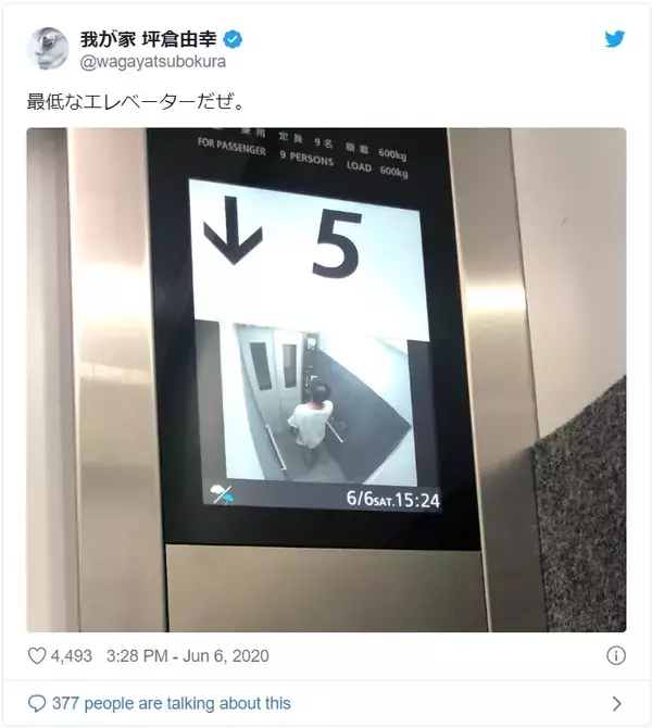 我が家・坪倉が「最低なエレベーターだぜ」と酷評……なぜ？