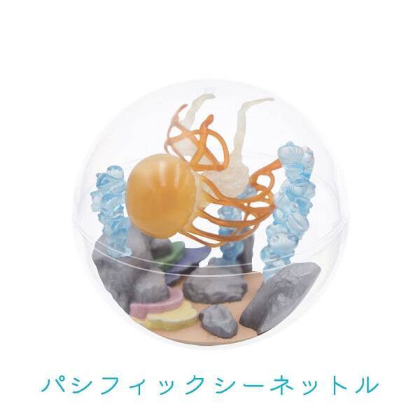 カプセルを水槽に見立てた「カプリウムコレクション クラゲ」　すみだ水族館＆京都水族館限定で登場