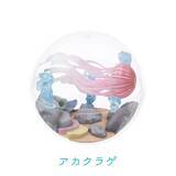 「カプセルを水槽に見立てた「カプリウムコレクション クラゲ」　すみだ水族館＆京都水族館限定で登場」の画像11
