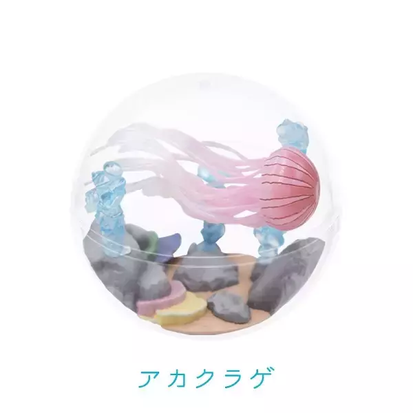 「カプセルを水槽に見立てた「カプリウムコレクション クラゲ」　すみだ水族館＆京都水族館限定で登場」の画像