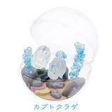 「カプセルを水槽に見立てた「カプリウムコレクション クラゲ」　すみだ水族館＆京都水族館限定で登場」の画像13
