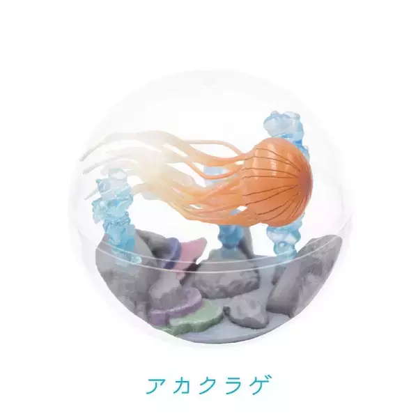 「カプセルを水槽に見立てた「カプリウムコレクション クラゲ」　すみだ水族館＆京都水族館限定で登場」の画像