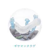 「カプセルを水槽に見立てた「カプリウムコレクション クラゲ」　すみだ水族館＆京都水族館限定で登場」の画像7