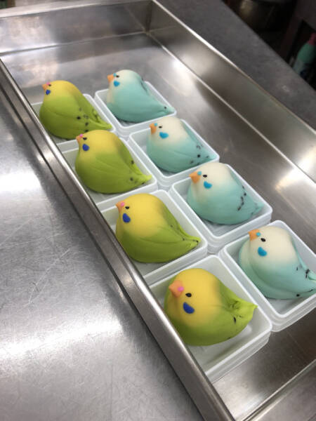 和菓子職人の遊び心から生まれたセキセイインコ　可愛すぎて食べるのがもったいない！