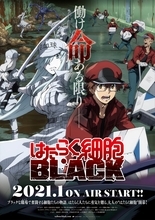 TVアニメ 「はたらく細胞BLACK」第1弾PV解禁　キャストコメントも到着！