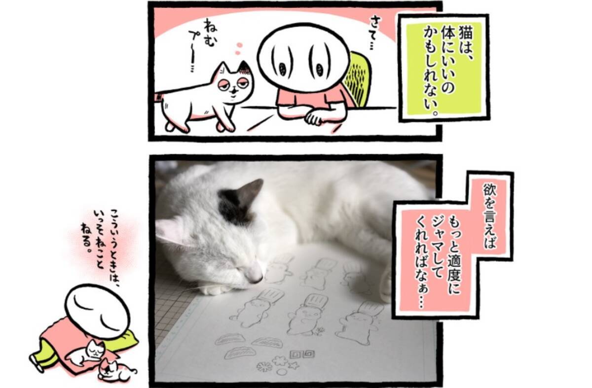 猫は健康に良いらしい 猫を保護して暮らした結果 年10月5日 エキサイトニュース