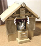 「「元祖段ボール猫神社」を覚えていますか？話題のその後」の画像1