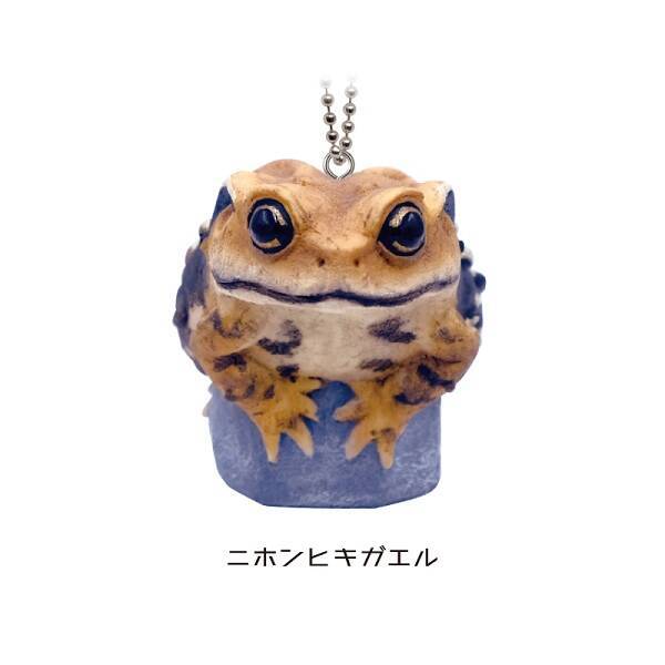 カプセルトイ 二ホンのカエル 発売 ヒキガエルなど全6種 年12月8日 エキサイトニュース カプセルトイ 二ホンのカエル 発売 ヒキガエルなど全6種 年12月8日 エキサイトニュース