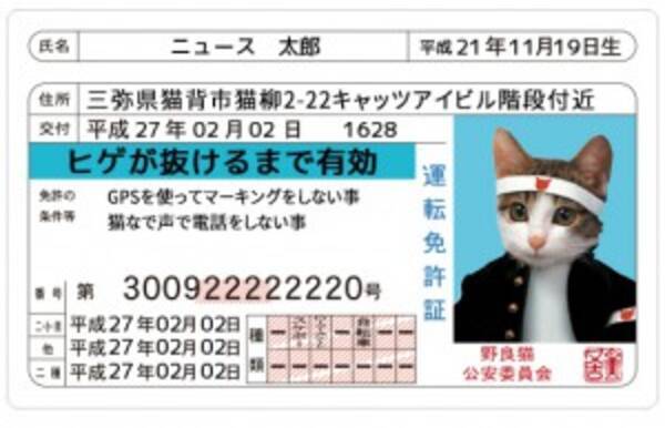 なめんなよ の なめ猫免許証 がジェネレーターで復活 15年2月2日 エキサイトニュース