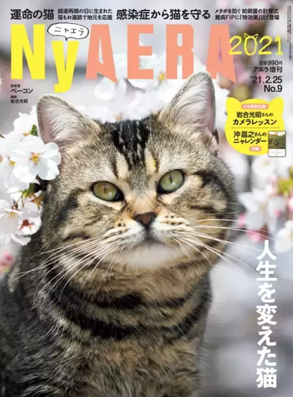 「AERAが一冊まるごと猫化　臨時増刊「NyAERA（ニャエラ）」第6弾発売」の画像