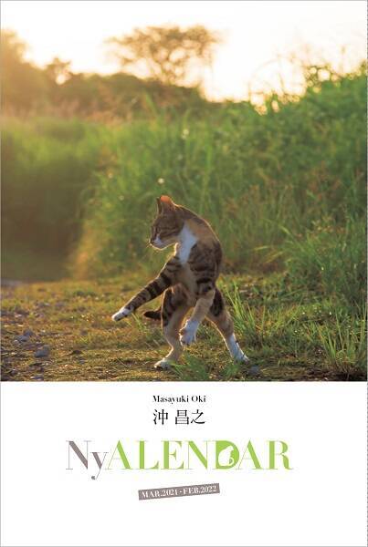 AERAが一冊まるごと猫化　臨時増刊「NyAERA（ニャエラ）」第6弾発売