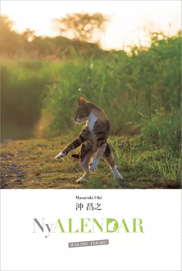 「AERAが一冊まるごと猫化　臨時増刊「NyAERA（ニャエラ）」第6弾発売」の画像