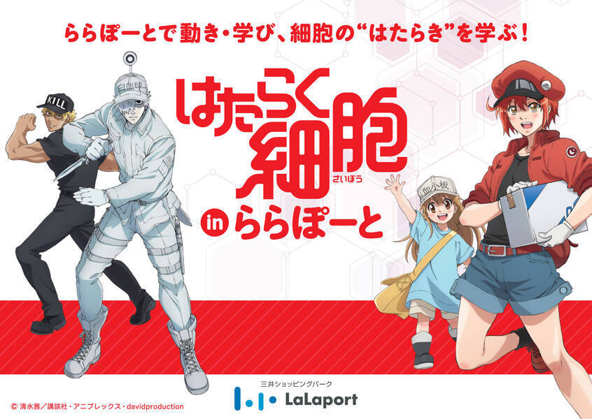 愛知 静岡のららぽーと4施設で はたらく細胞 コラボイベント 新米赤血球になって体を学べる館内ラリー 21年4月27日 エキサイトニュース 2 2