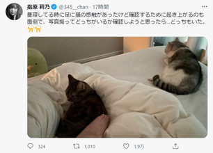 指原莉乃が昼寝中に愛猫確認　優しい世界にほっこり