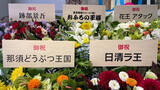 「テニプリ跡部様はじめ各界の王族・貴族がUQ「UQUEEN」誕生を祝福」の画像3