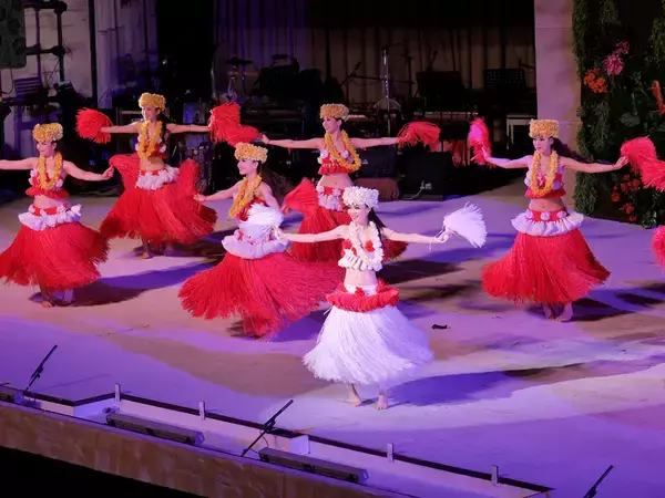 「投票で演目が決定する「フラガール」LIVEを無料配信　候補には「ハナミズキ」のハワイ語Ver.も」の画像