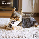 「Twitterで29万いいねを獲得！「判決を取ってくる犬用おもちゃ」が商品化」の画像4