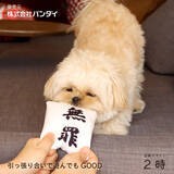 「Twitterで29万いいねを獲得！「判決を取ってくる犬用おもちゃ」が商品化」の画像5