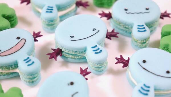 粘土細工のポケモンファンアート ポケモン世界のお菓子屋さん がかわいすぎ 21年12月15日 エキサイトニュース
