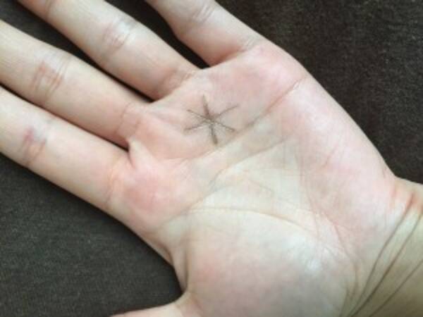 思いがけない幸運が訪れるハッピースターを持つ手相は 16年1月4日 エキサイトニュース