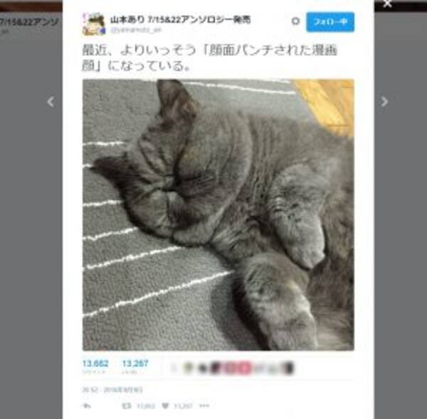顔面パンチされた漫画顔 の猫さんが愛嬌たっぷりで癒やされる 16年9月10日 エキサイトニュース