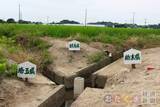 「群馬、栃木、埼玉が3歩で巡れる「3県境」に行ってみた」の画像1